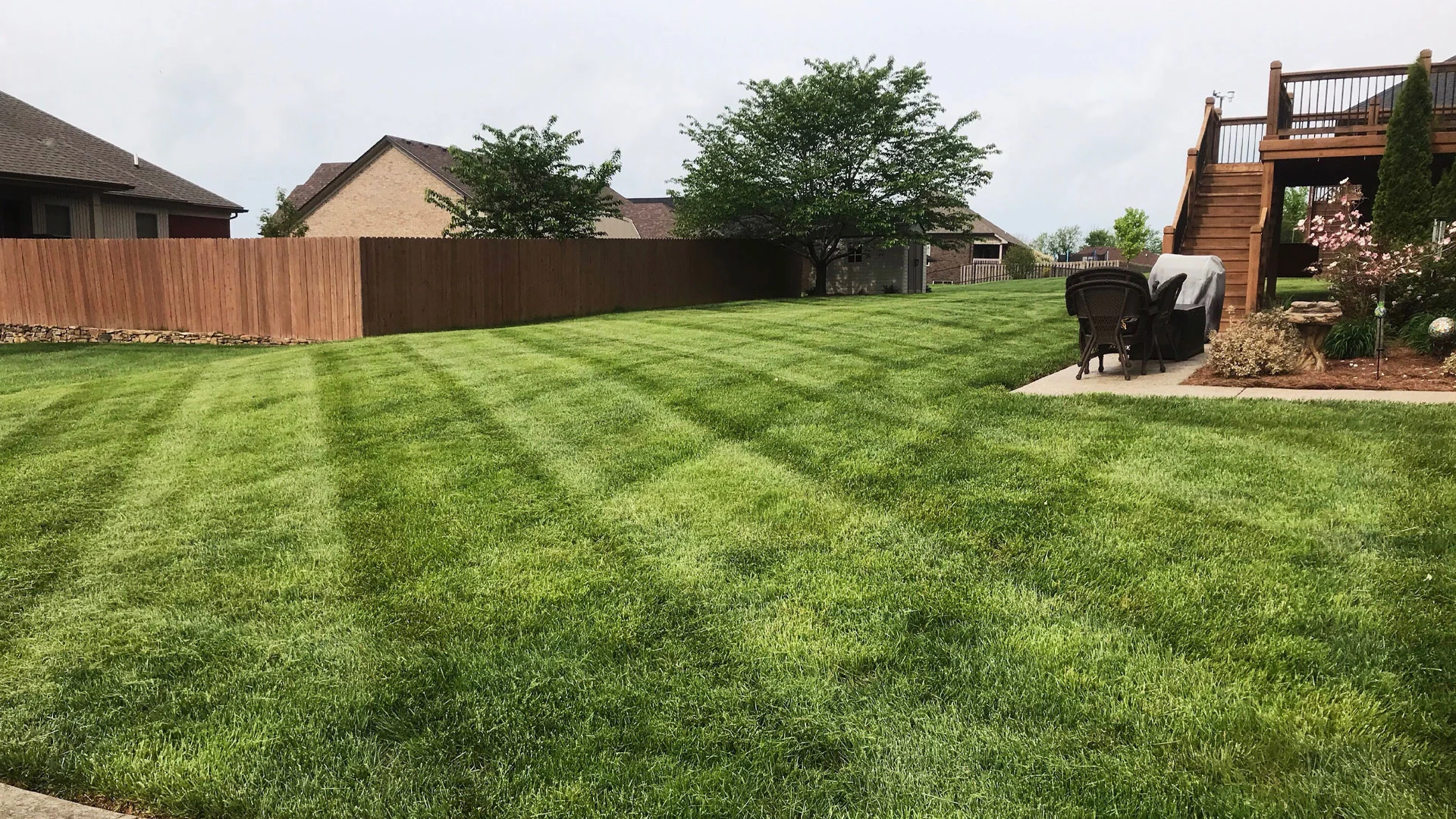 Newly mowed lawn with mowing stripes in Louisville, KY.