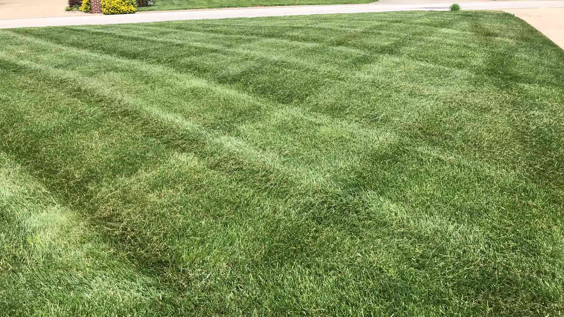 Serviced lawn by Sean's Lawns LLC in Louisville, KY.