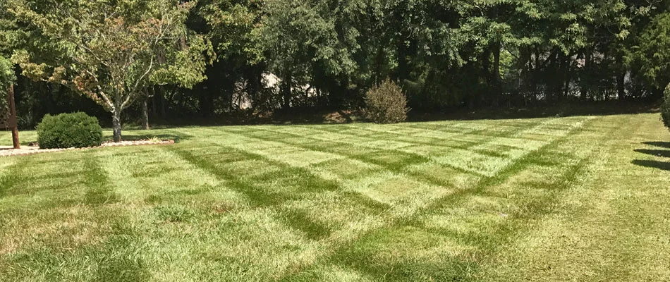 Recently mowed lawn with stripes at a residential property in Jeffersonville, IN.